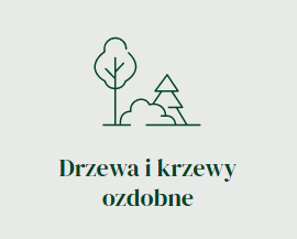 drzewa i krzewy ozdobne